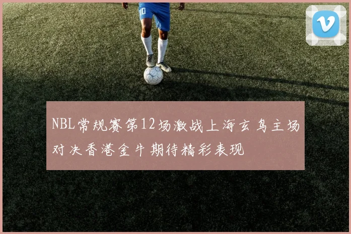 NBL常规赛第12场激战上海玄鸟主场对决香港金牛期待精彩表现
