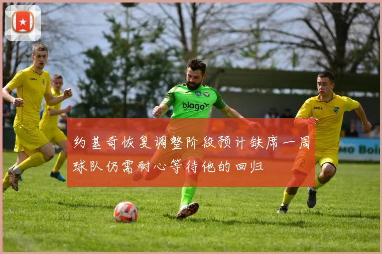 约基奇恢复调整阶段预计缺席一周球队仍需耐心等待他的回归