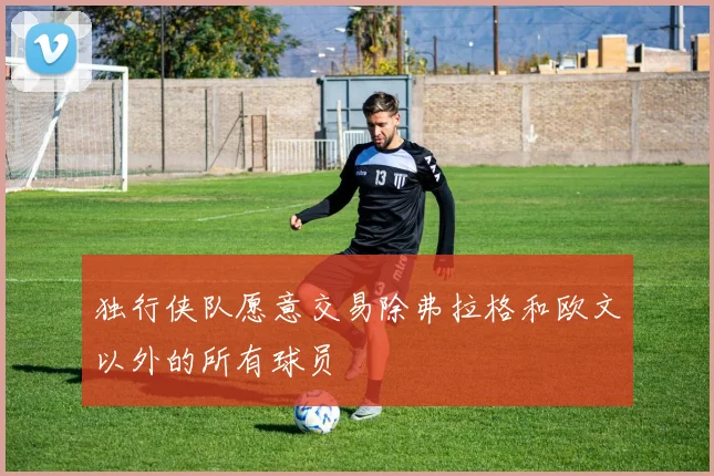 独行侠队愿意交易除弗拉格和欧文以外的所有球员