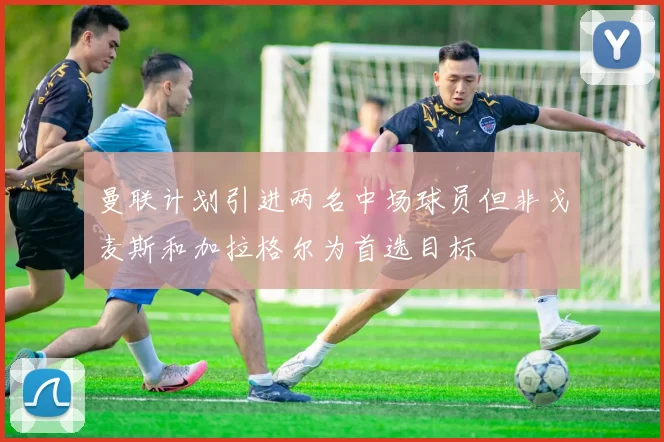曼联计划引进两名中场球员但非戈麦斯和加拉格尔为首选目标
